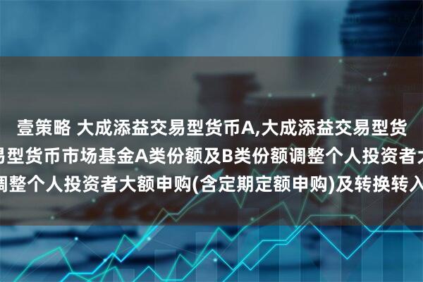 壹策略 大成添益交易型货币A,大成添益交易型货币B: 关于大成添益交易型货币市场基金A类份额及B类份额调整个人投资者大额申购(含定期定额申购)及转换转入业务的公告