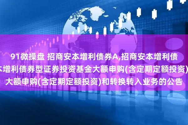 91微操盘 招商安本增利债券A,招商安本增利债券C: 关于暂停招商安本增利债券型证券投资基金大额申购(含定期定额投资)和转换转入业务的公告