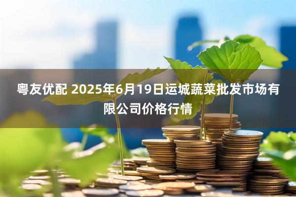 粤友优配 2025年6月19日运城蔬菜批发市场有限公司价格行情