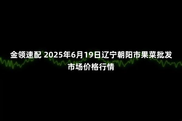 金领速配 2025年6月19日辽宁朝阳市果菜批发市场价格行情