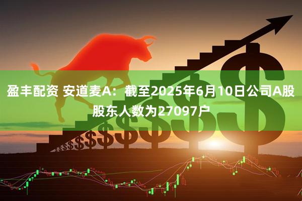 盈丰配资 安道麦A：截至2025年6月10日公司A股股东人数为27097户
