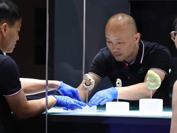 口袋超盘 上博迎来5500年前“中华第一龙”