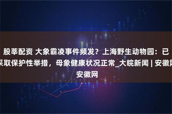 股莘配资 大象霸凌事件频发？上海野生动物园：已采取保护性举措，母象健康状况正常_大皖新闻 | 安徽网