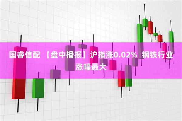 国睿信配 【盘中播报】沪指涨0.02%  钢铁行业涨幅最大
